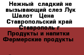 Нежный, сладкий не вызывающий слез Лук-Шалот › Цена ­ 55 - Ставропольский край, Ставрополь г. Продукты и напитки » Фермерские продукты   . Ставропольский край